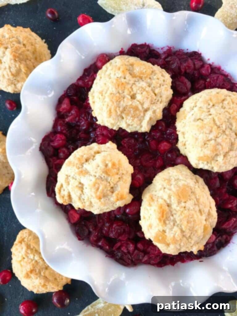 A bubbling holiday cranberry ginger cobbler, topped with golden ginger cinnamon biscuits.