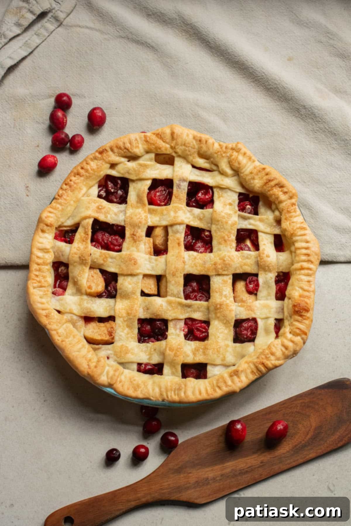 A golden-brown apple cranberry pie, fresh from the oven, with a decorative crust.