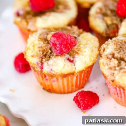 Easy Fresh Raspberry Coffee Cake Muffins