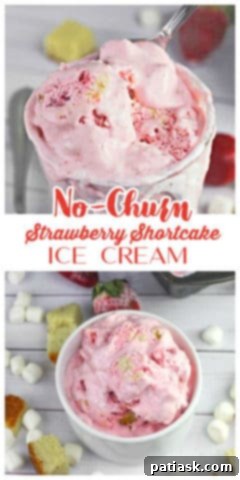 No-Churn Strawberry Shortcake Swirl Ice Cream 7 Scoop of No-Churn Strawberry Shortcake Ice Cream
