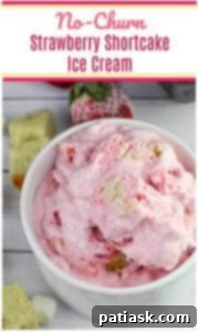No-Churn Strawberry Shortcake Swirl Ice Cream 8 No-Churn Strawberry Shortcake Ice Cream in a bowl with fresh berries