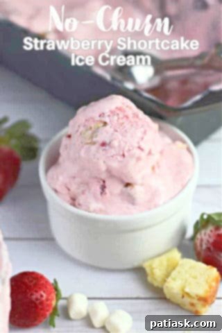 No-Churn Strawberry Shortcake Swirl Ice Cream 9 Close-up of No-Churn Strawberry Shortcake Ice Cream texture
