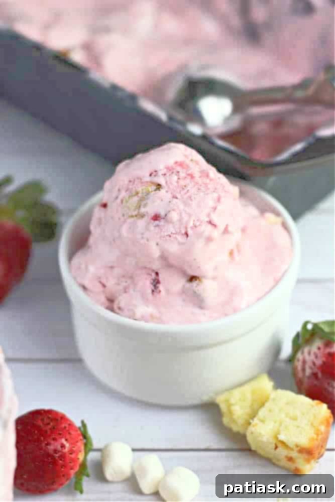 No-Churn Strawberry Shortcake Swirl Ice Cream 5 Serving of No-Churn Strawberry Shortcake Ice Cream with fresh berries
