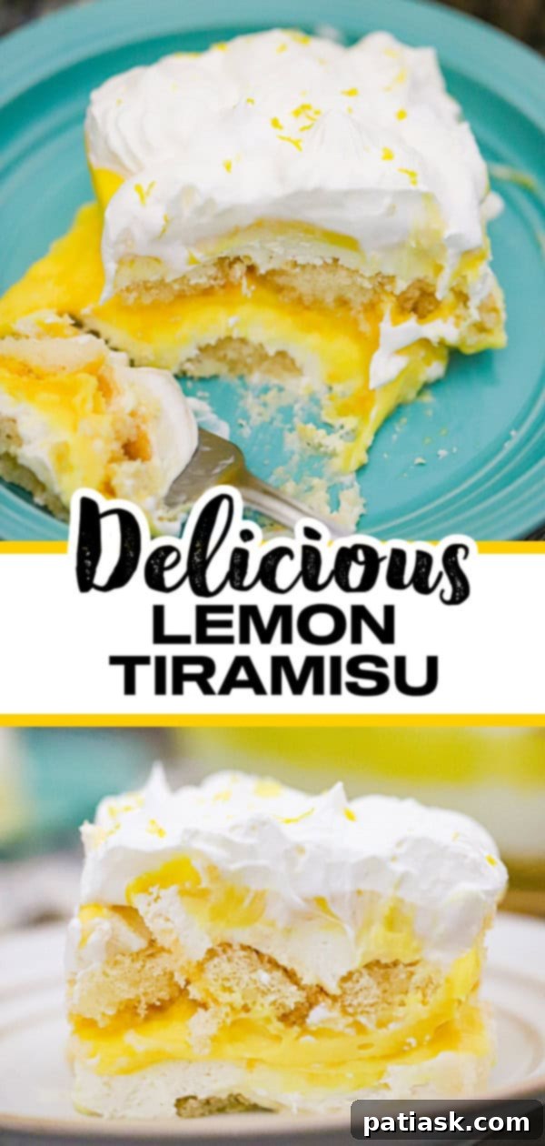 Lemony Tiramisu Delight 10 Overhead shot of lemon tiramisu garnished with fresh lemon zest and slices