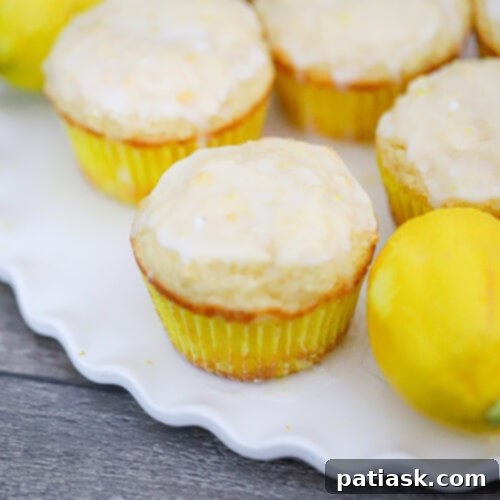 Tangy Lemon Yogurt Muffins 7 Moist Lemon Muffins with Greek Yogurt