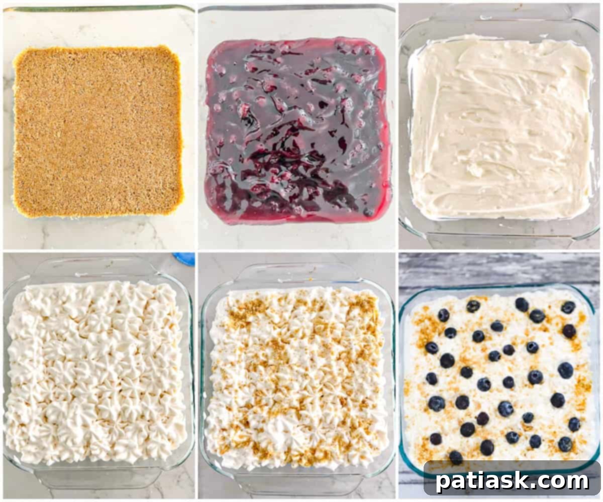Effortless Blueberry Cheesecake Dream 5 tutorial how to make no bake blueberry cheesecake delight