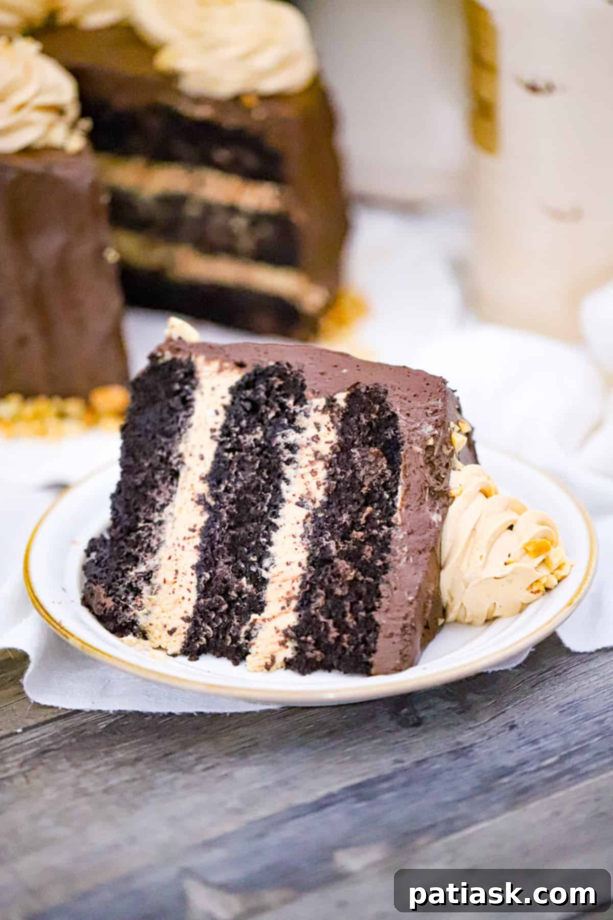 Decadent Chocolate Peanut Butter Cake 3 Layered Chocolate Peanut Butter Cake with rich frosting and peanuts