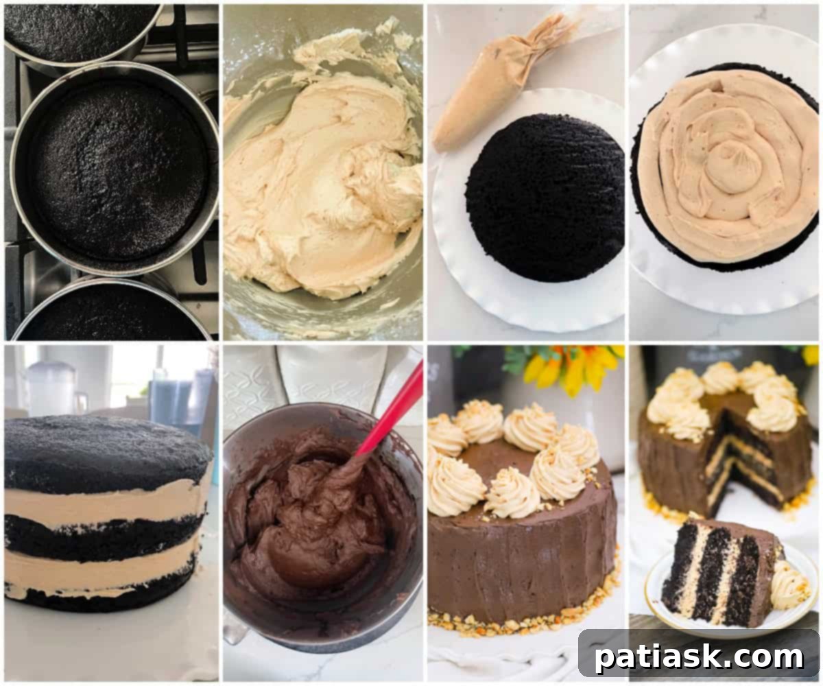 Decadent Chocolate Peanut Butter Cake 7 Finished Chocolate Peanut Butter Cake with swirls and peanuts