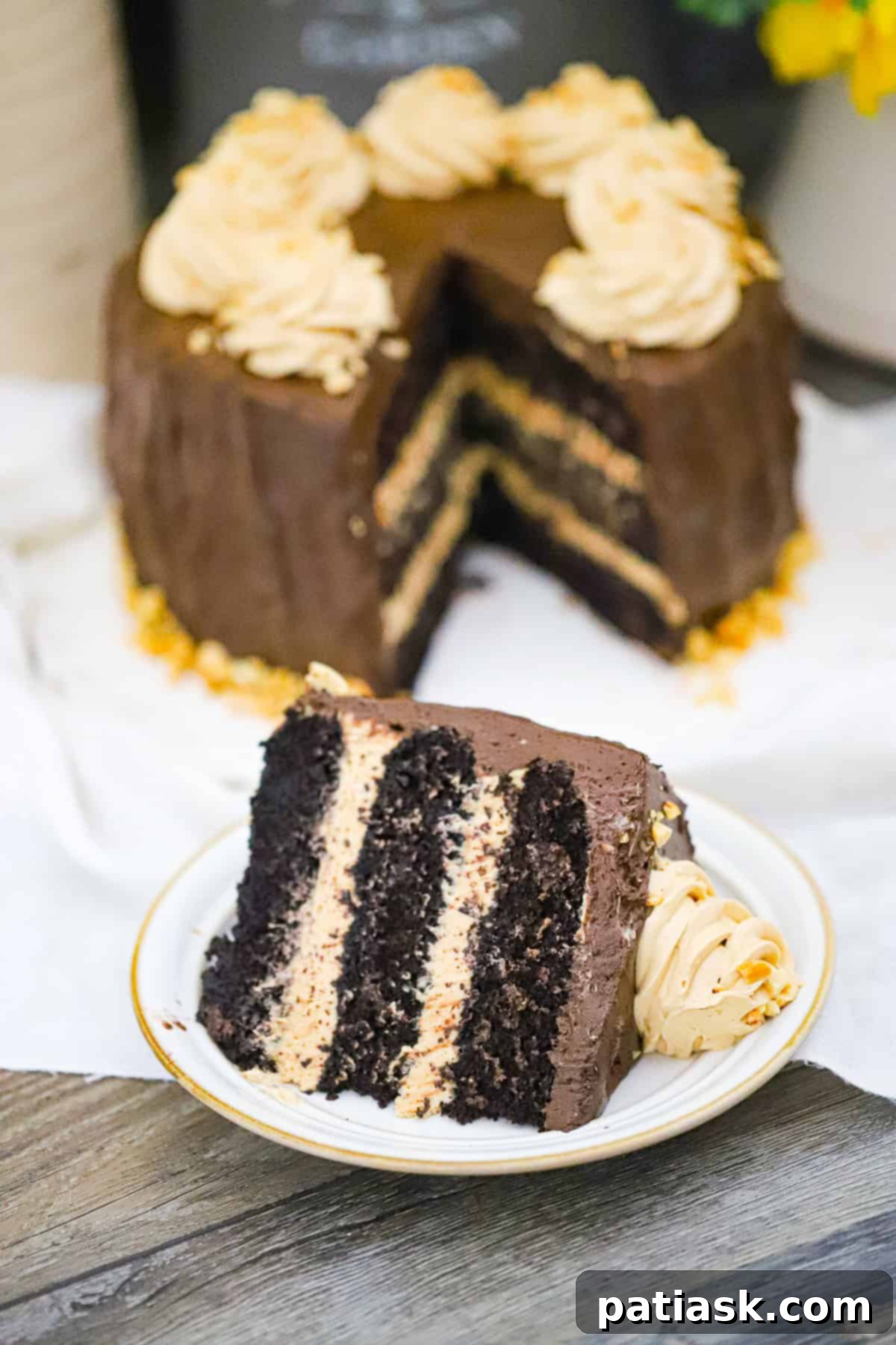 Decadent Chocolate Peanut Butter Cake 8 Beautifully decorated Chocolate Peanut Butter Cake for a celebration