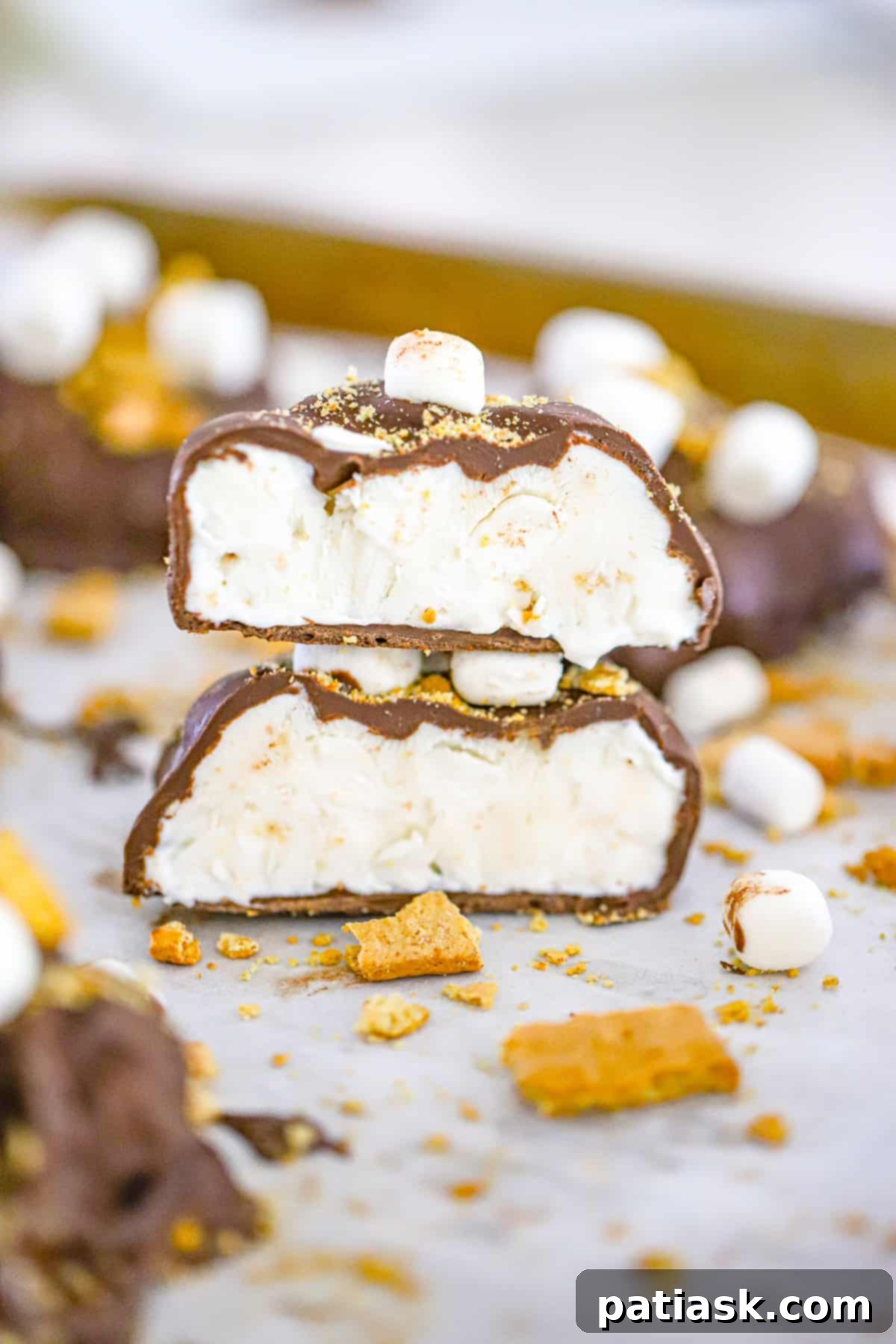 Frozen S'mores Yogurt Bites 3 Close-up of Frozen S'more Yogurt Clusters with chocolate coating