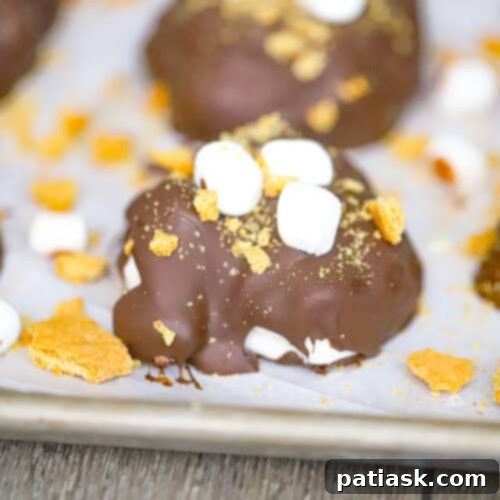 Frozen S'mores Yogurt Bites 7 Frozen S'more Yogurt Clusters