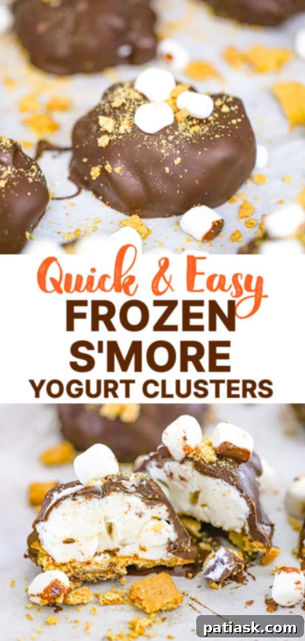 Frozen S'mores Yogurt Bites 9 Frozen S'more Yogurt Clusters from above