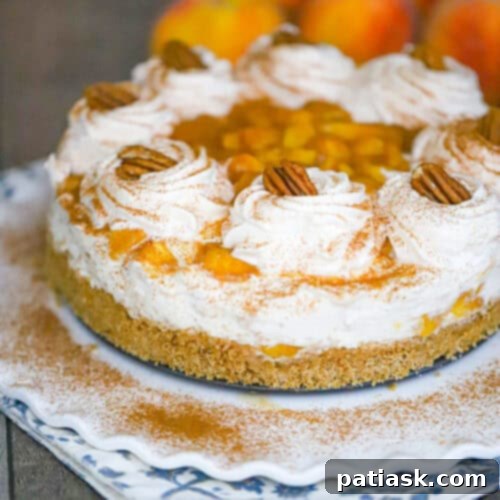 No-Bake Caramel Peach Cheesecake Delight 10 No Bake Caramel Peach Cheesecake with a rich caramel drizzle and fresh peach slices