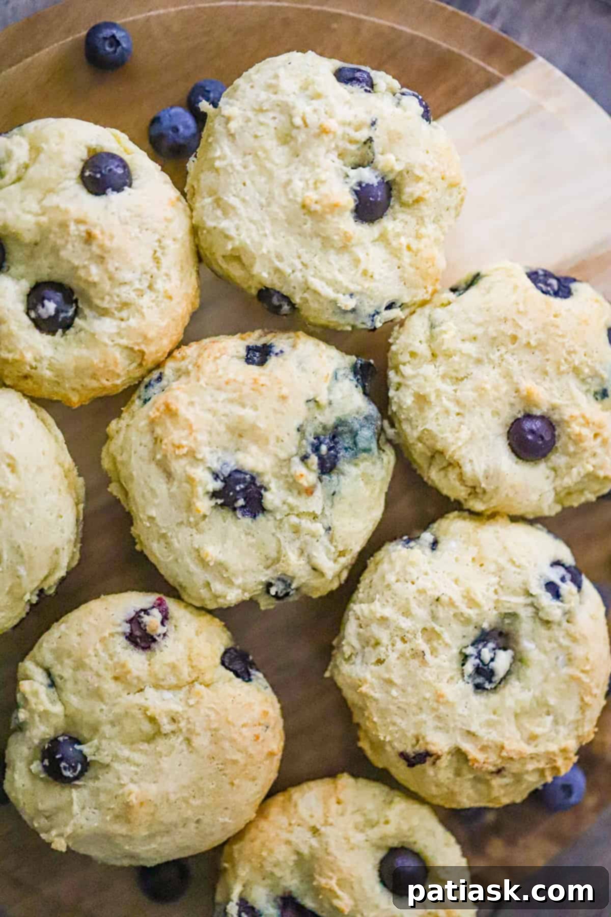 20 Sweet Cottage Cheese Treats Packed with Protein 16 Moist Blueberry Cottage Cheese Muffins