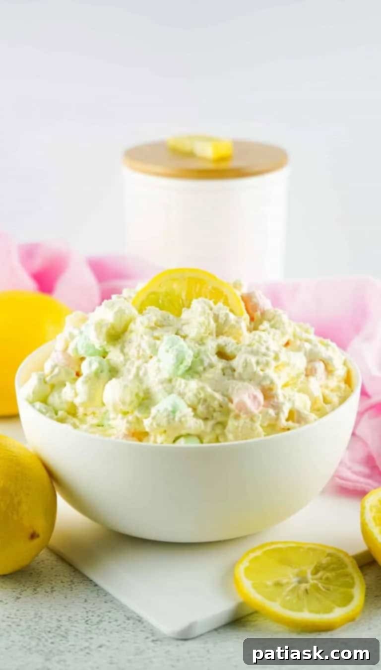 20 Sweet Cottage Cheese Treats Packed with Protein 21 Refreshing Vintage Lemon Fluff Salad