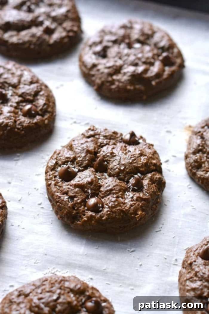 20 Sweet Cottage Cheese Treats Packed with Protein 6 Double Chocolate Cottage Cheese Cookies