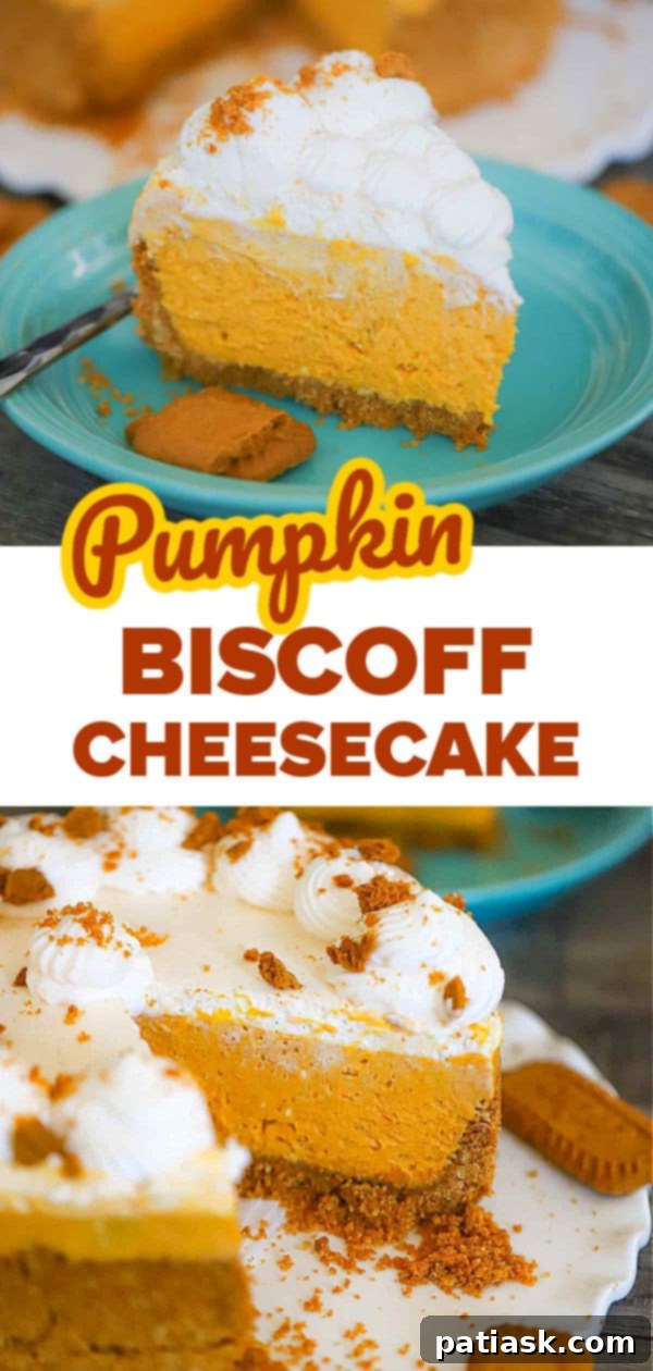 Autumn Spiced Pumpkin Biscoff Cheesecake 9 Two slices of Pumpkin Biscoff Cheesecake with whipped cream and crumbled cookies