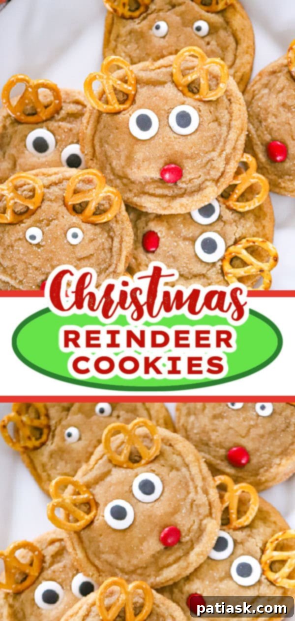 Festive Reindeer Delights 10 Multiple Christmas Reindeer Cookies arranged festively.
