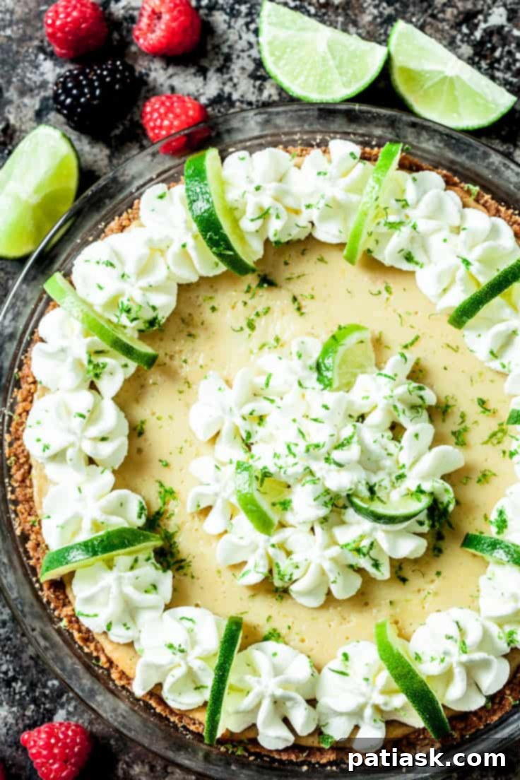 20 Irresistible Graham Cracker Crust Pies 20 The Best Key Lime Pie with graham cracker crust, a classic citrus dessert