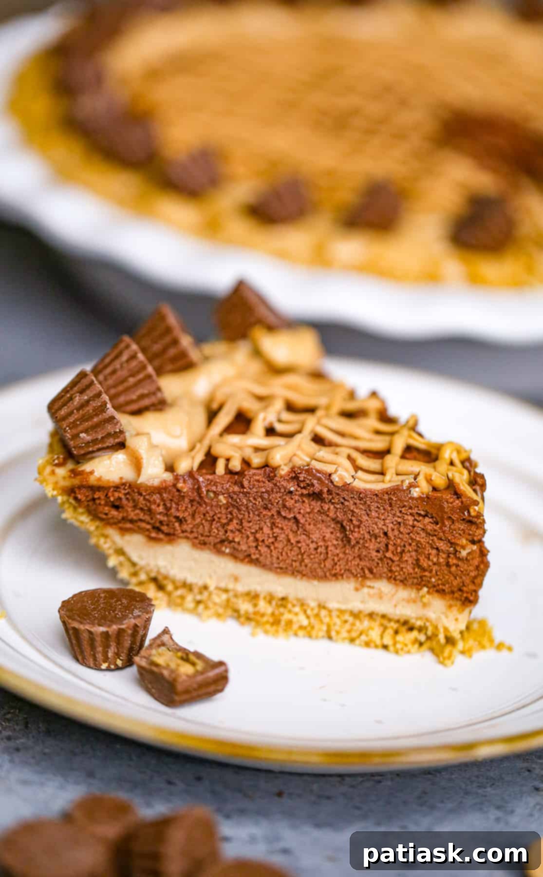 20 Irresistible Graham Cracker Crust Pies 23 Decadent Peanut Butter Chocolate Pie - Costco CopyCat Recipe, a rich dessert with graham cracker crust