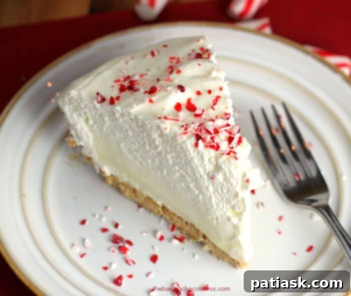 20 Irresistible Graham Cracker Crust Pies 24 Holiday White Chocolate Peppermint Cheesecake Mousse Pie, a festive dessert