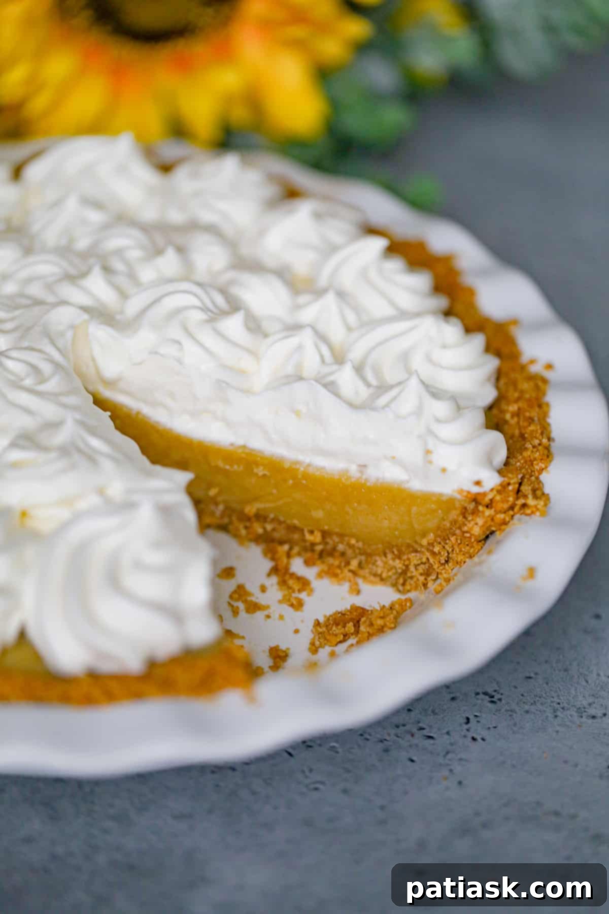 20 Irresistible Graham Cracker Crust Pies 7 Marvelous Butterscotch Pie, a rich and creamy pudding pie with graham cracker crust