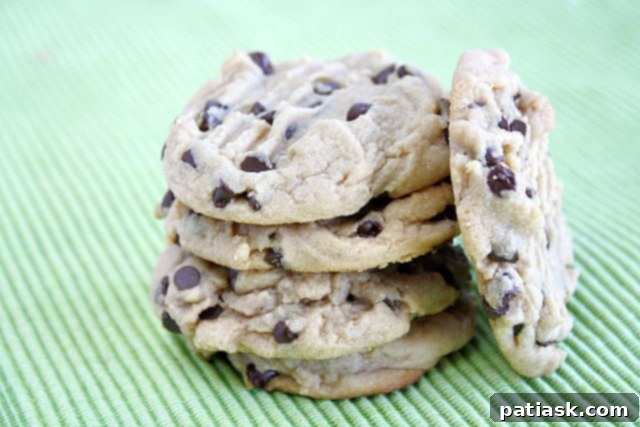 Best Peanut Butter Chocolate Chip Cookies