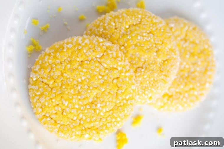 Bosch Lemon Butter Sugar Cookies