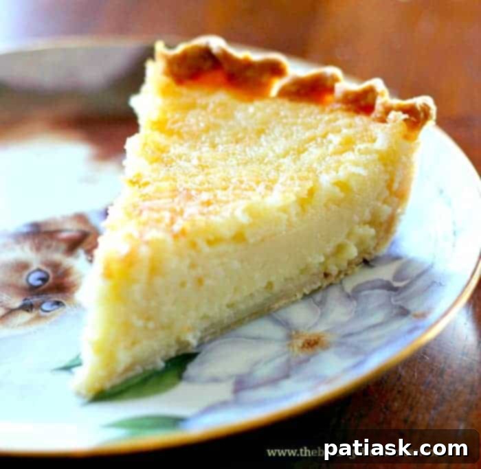 Creamy Lemon Coconut Custard Pie