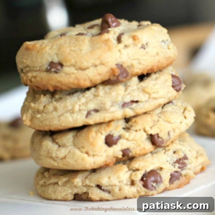“Phenomenal” Milk Chocolate Chip Peanut Butter Cookies