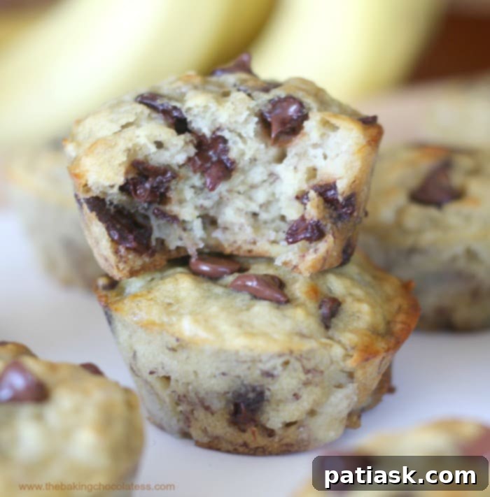 Perfect Banana Chocolate Chip Muffins! Fluffy & Moist! - desserts for mothers day
