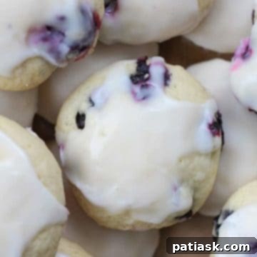 Soft Lemon & Blueberry Explosion Cookies