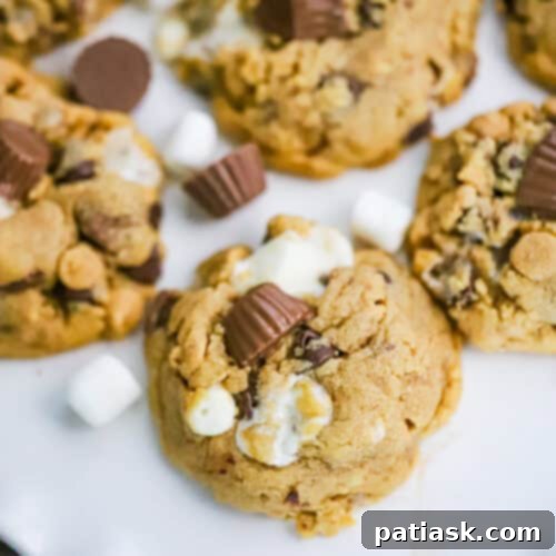 Reese's S'mores Peanut Butter Cookies 8 Reese's Peanut Butter Cup Marshmallow Cookies