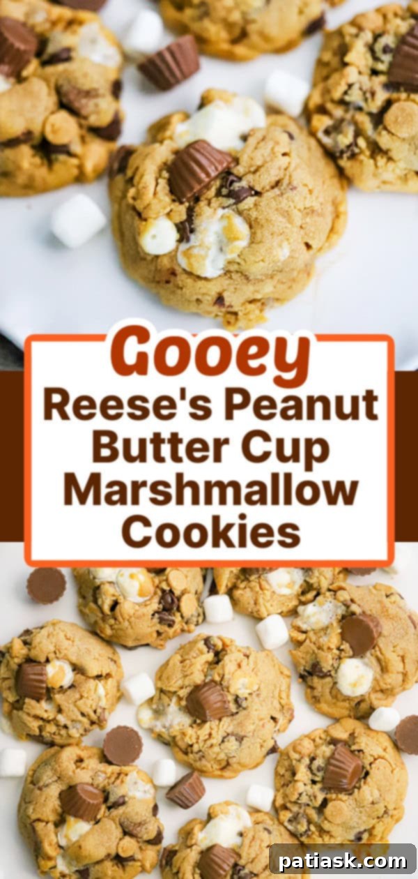 Reese's S'mores Peanut Butter Cookies 10 Another angle of Reese's Peanut Butter Cup Marshmallow Cookies