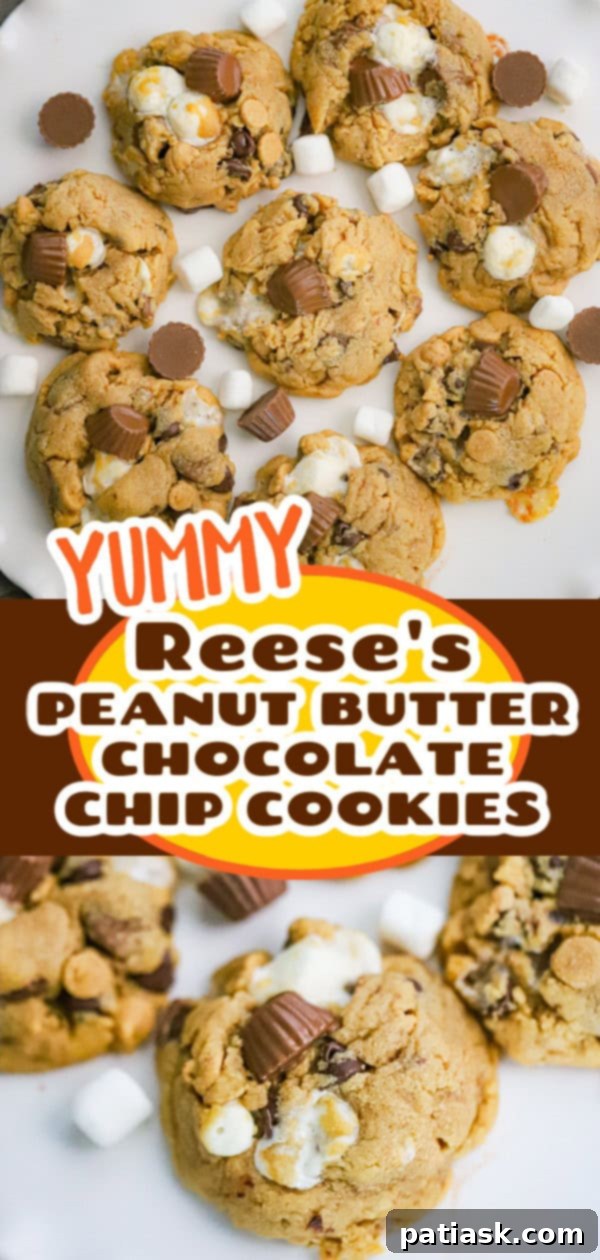 Reese's S'mores Peanut Butter Cookies 11 Reese's Peanut Butter Cup Marshmallow Cookies ready to be enjoyed