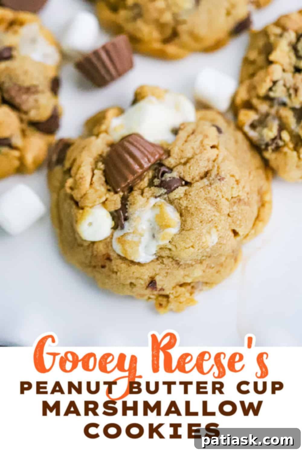 Reese's S'mores Peanut Butter Cookies 12 Close-up of a Reese's Peanut Butter Cup Marshmallow Cookie with melted marshmallow