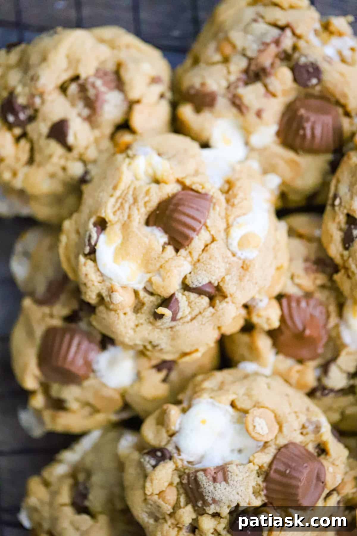 Reese's S'mores Peanut Butter Cookies 4 Close-up of a Reese's Peanut Butter Cup Marshmallow Cookie showing the gooey marshmallow