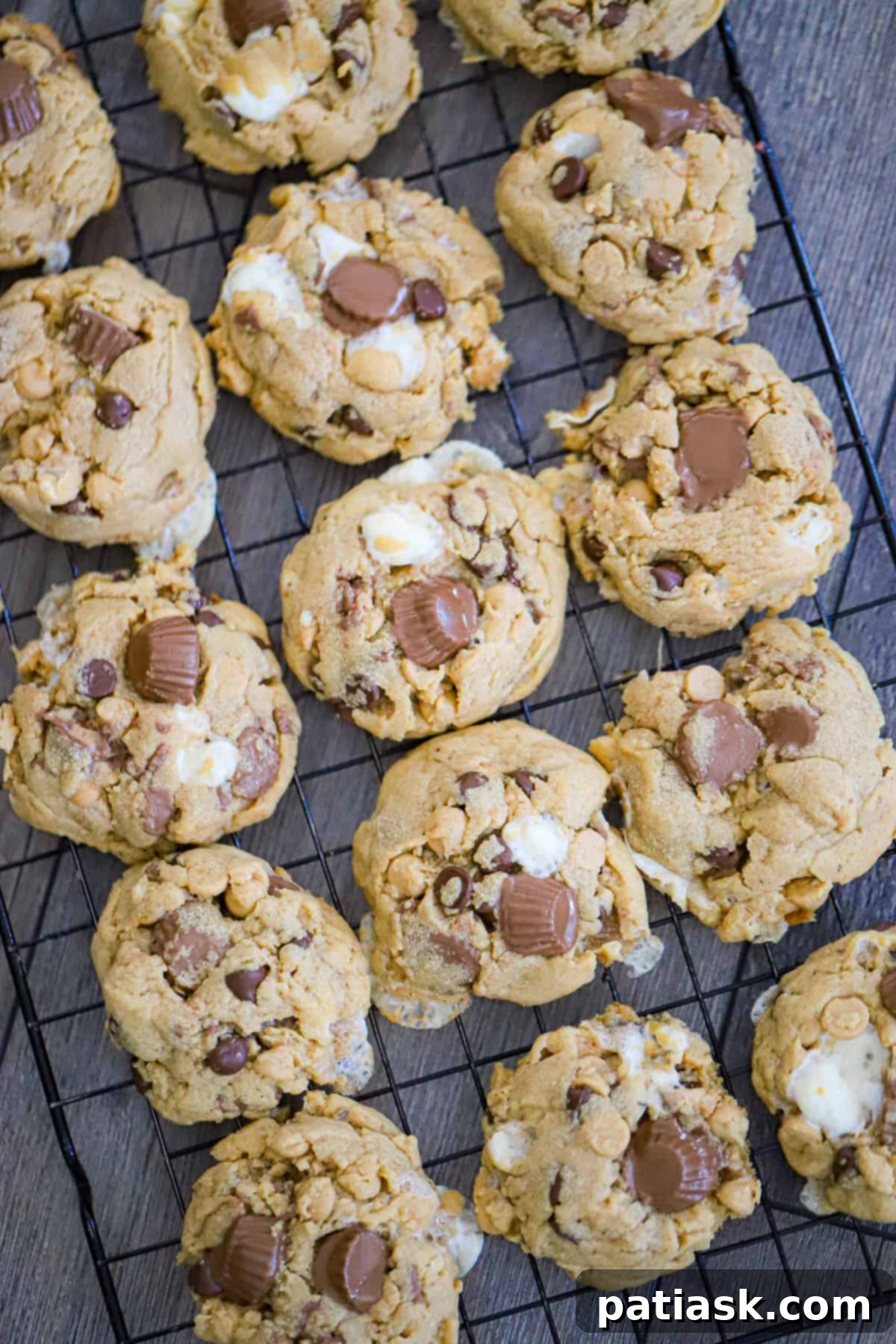 Reese's S'mores Peanut Butter Cookies 5 Freshly baked Reese's Peanut Butter Cup Marshmallow Cookies on a baking sheet