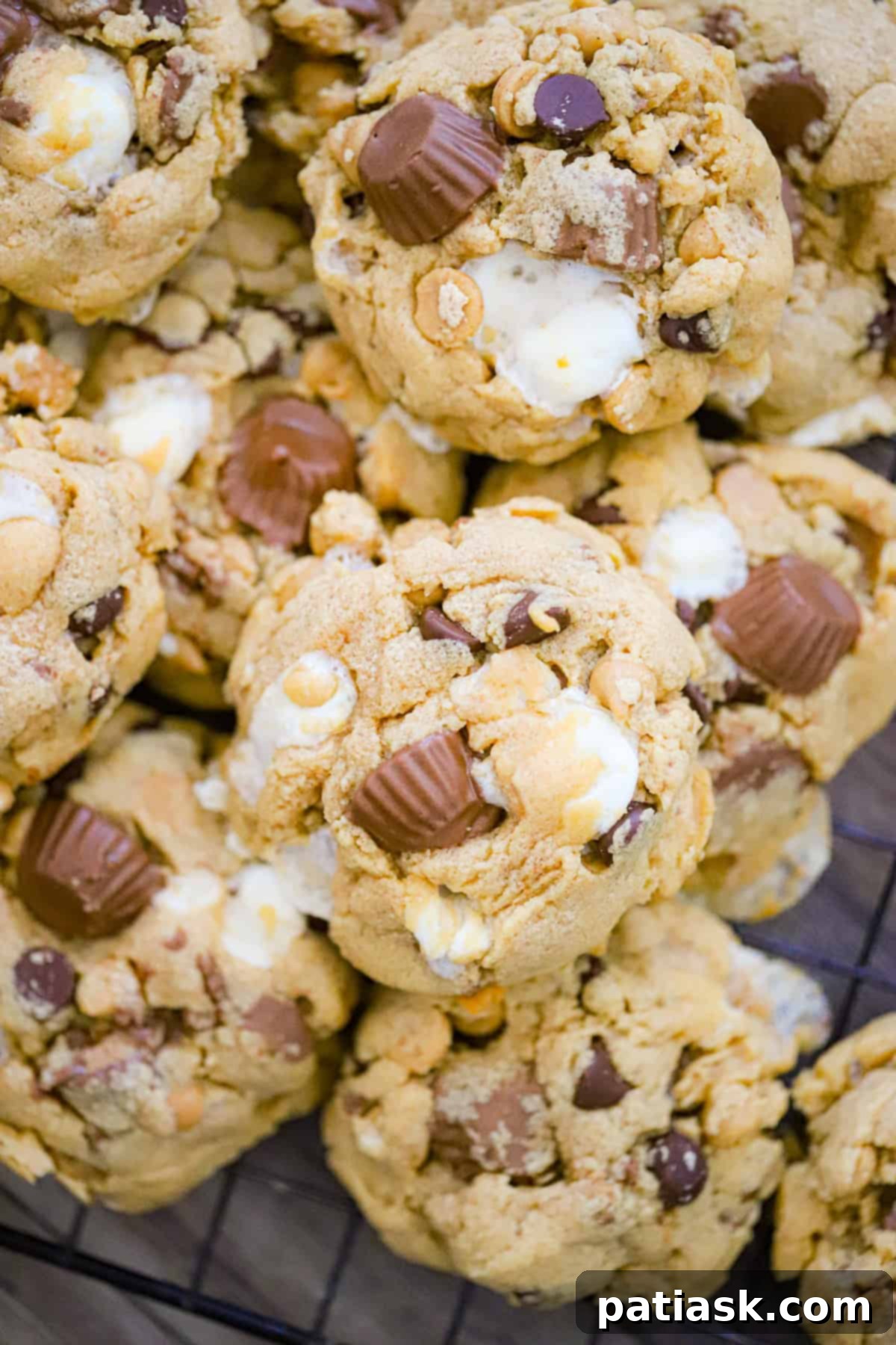 Reese's S'mores Peanut Butter Cookies 6 Freshly baked Reese's Peanut Butter Cup Marshmallow Cookies cooling on a rack