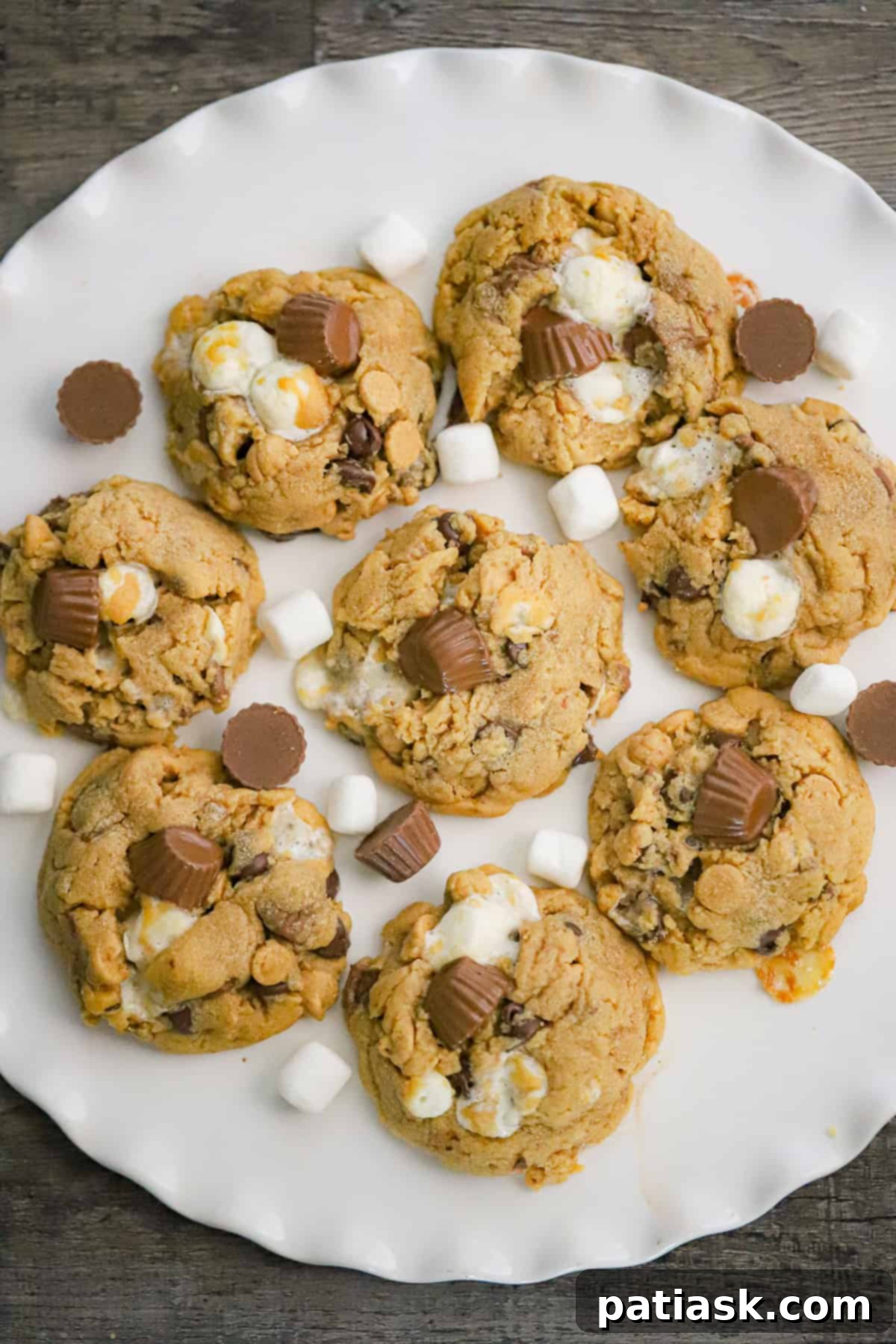 Reese's S'mores Peanut Butter Cookies 7 Variety of gooey and sweet summer treats including Reese's cookies