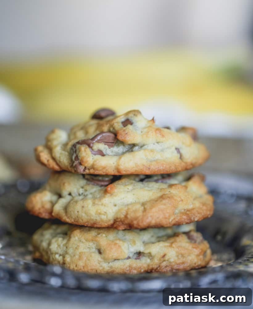 stack of Banana Milk Chocolate Chip Cookies