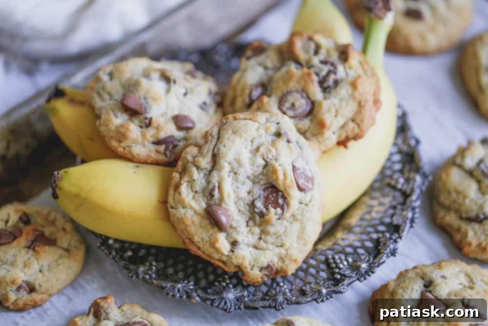 Banana Milk Chocolate Chip Cookies on a plate