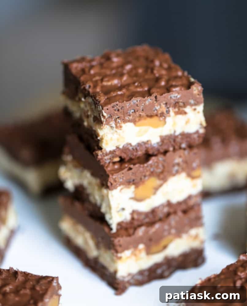 Decadent No Bake Chocolate Caramel Nutty Crunch Bars 6 Spread of ingredients including chocolate chips, butterscotch chips, peanuts, and caramels