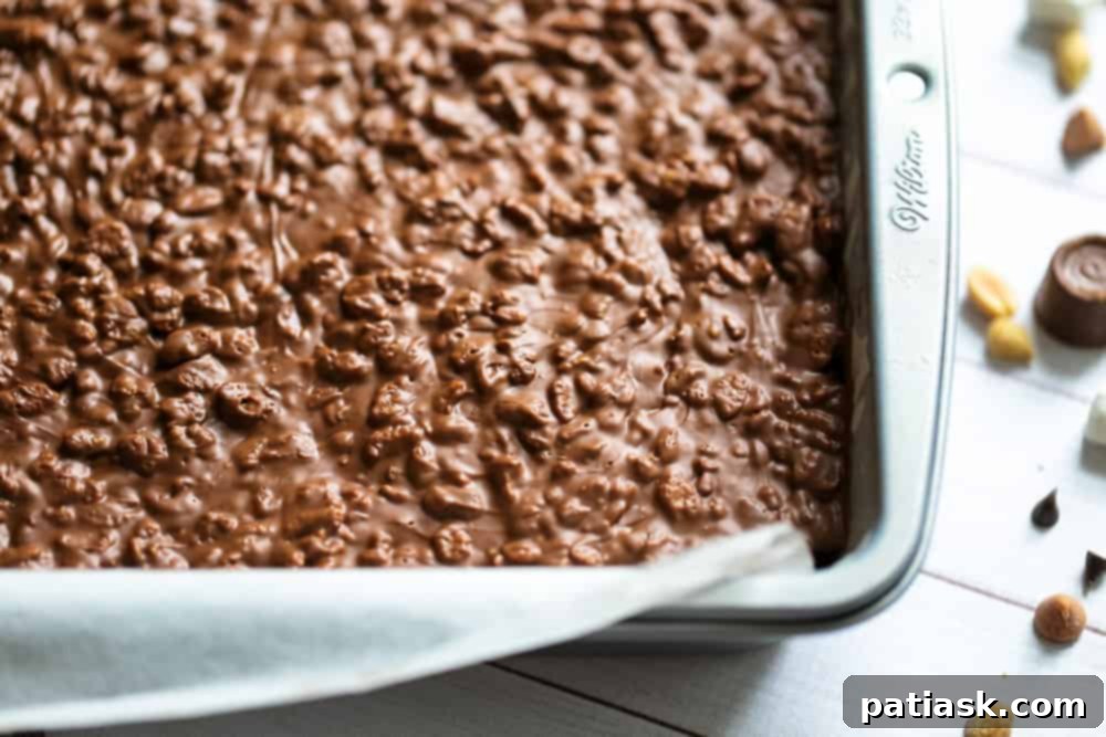 Decadent No Bake Chocolate Caramel Nutty Crunch Bars 7 Expertly sliced no bake chocolate caramel nutty crunch bars ready to serve