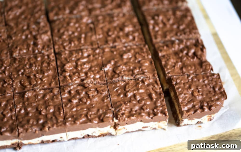 Decadent No Bake Chocolate Caramel Nutty Crunch Bars 8 A plate full of delicious no bake chocolate caramel nutty crunch bars