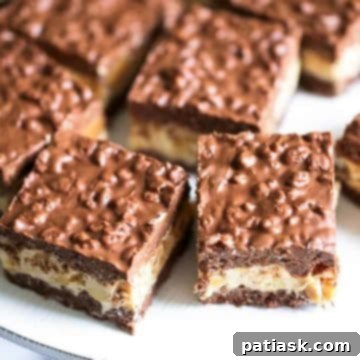 Decadent No Bake Chocolate Caramel Nutty Crunch Bars 10 No Bake Chocolate Caramel Nutty Crunch Bars