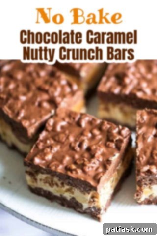 Decadent No Bake Chocolate Caramel Nutty Crunch Bars 12 Close-up of a single no bake chocolate caramel nutty crunch bar