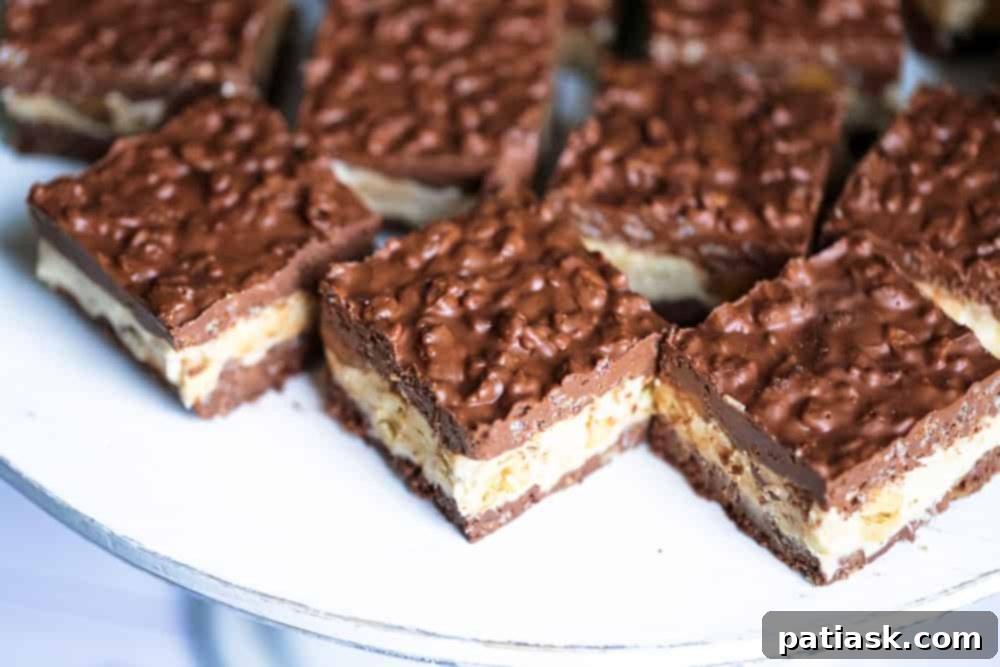 Decadent No Bake Chocolate Caramel Nutty Crunch Bars 3 Close-up of a stack of no bake chocolate peanut butter nutty crunch bars showing the layers