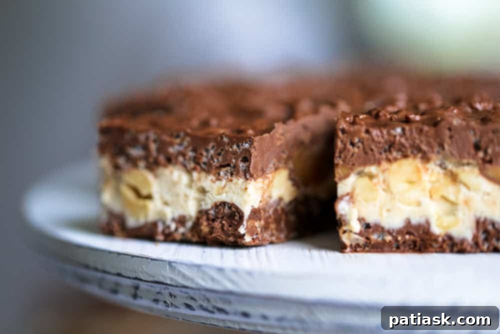 Decadent No Bake Chocolate Caramel Nutty Crunch Bars 4 Cross-section of no bake chocolate caramel nutty crunch bars revealing the three distinct layers