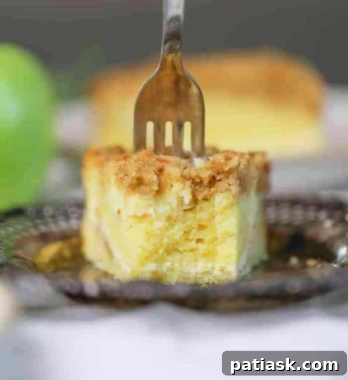 Apple Cream Cheese Swirl Streusel Cake 4 Slice of Apple Crumb Cream Cheese Coffee Cake